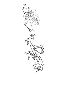 a rose with leaves on it is shown in black and white, as well as the outline