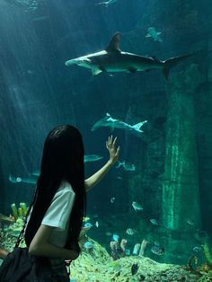 a woman is looking at sharks in an aquarium