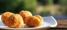 three fried food items on a white plate