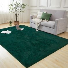 a living room with a couch, chair and green rug on the floor in front of a window