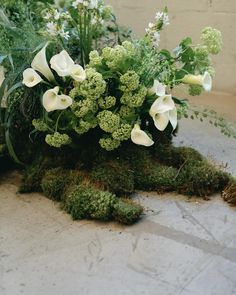 white flowers and greenery on the ground in front of a brick wall with moss