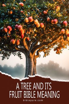 a tree and it's fruit bible meaning is shown in this image with the words, a tree and its fruit bible meaning