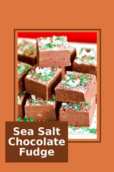 sea salt chocolate fudge with sprinkles on the top and in the middle