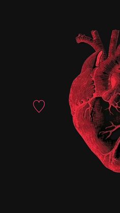 a drawing of a human heart on a black background