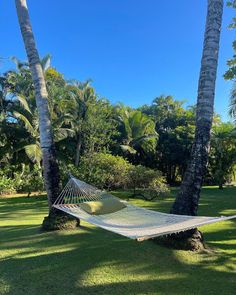 a hammock hanging between two palm trees on the grass in a tropical setting