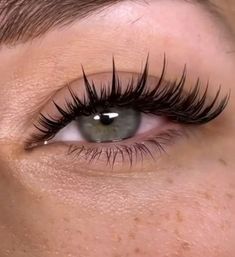 Foxy Eyelash Extensions, Lashes 1:1, Different Eyelash Extension Styles, Paznokcie Hello Kitty, Eye Makeup Images, Cute Eye Makeup