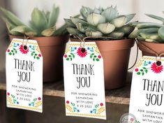 three potted succulents with thank you tags attached to them are sitting on a table