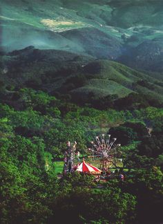 an aerial view of a ferris wheel in the forest