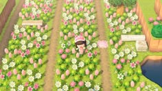 an animal is standing in the middle of a flower garden with lots of pink and white flowers