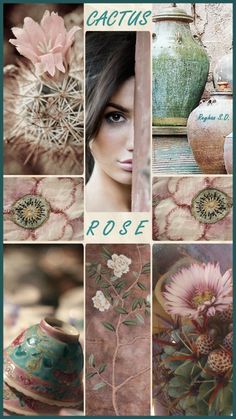 a collage of photos with flowers and vases on it's sides, including the words cactus rose