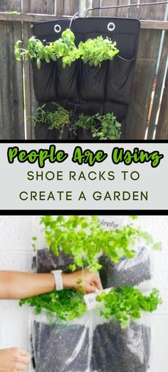 people are using shoe racks to create a garden in the back yard or on the patio