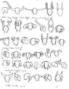 an image of how to draw animals with different poses and expressions for each animal's head