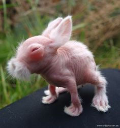 a small pink rabbit sitting on top of a rock