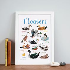 there are many different types of ducks in this picture and the words floaters on it