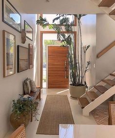 an entry way with stairs, potted plants and pictures on the wall