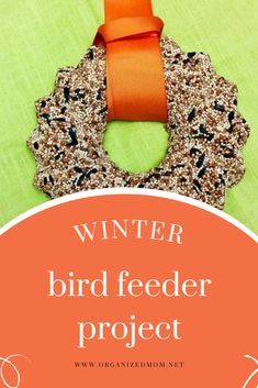 a bird feeder project with an orange ribbon on it and the words winter bird feeder project