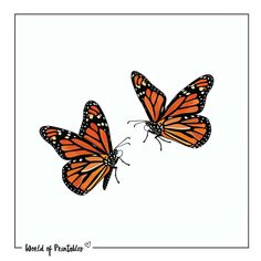 two orange butterflies flying side by side