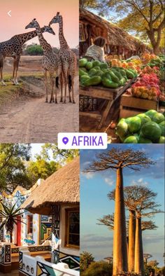 there are pictures of different places in africa and the same one is from around the world