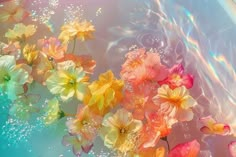 colorful flowers floating in water with bubbles on the bottom and rainbow colored petals above them