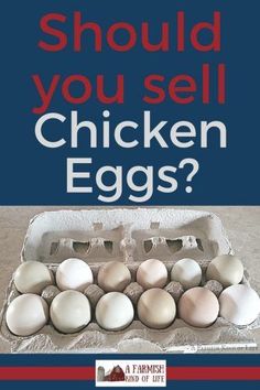 an egg carton with the words should you sell chicken eggs?