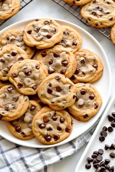 chocolate chip cookies on a white plate