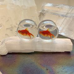 two goldfish in small glass bowls sitting on a piece of wood