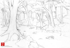 a pencil drawing of trees in the woods