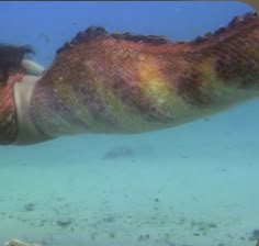 a woman is swimming in the water with her arm wrapped around an animal's tail