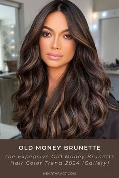 The Expensive Old Money Brunette (Gallery) | Rich Brunette Hair Color Trend 2024 | Expensive Brown Hair Aesthetic Inspo | Light brown hair | dark brown hair Old Money Fashion Aesthetic, Waves With Curtain Bangs, Highlights And Balayage, California Brunette, Expensive Brunette, Old Money Brunette, Brunette Hair Color With Highlights, Brown Hair Trends, Rich Brown Hair