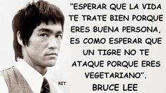 Bruce Lee Quotes, Inspirational Phrases, Spanish Quotes, Bruce Lee, Kung Fu, Wisdom Quotes, Wise Words, Me Quotes, Words Of Wisdom