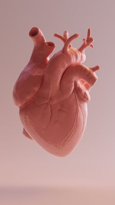 an image of a human heart in the air