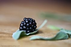 a small black berry sitting on top of a wooden table