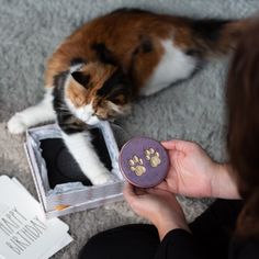 a cat laying on the floor next to a person holding a purple button with paw prints