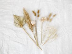 dried flowers and leaves on a white sheet