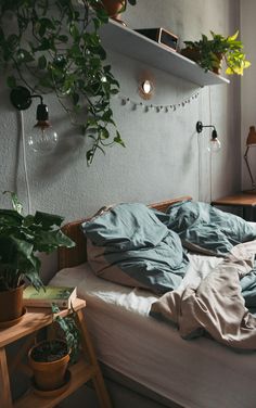 an unmade bed in a bedroom with plants on the wall and lights above it