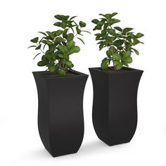 two black vases with plants in them sitting side by side on a white background