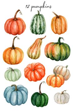 watercolor pumpkins in different colors and sizes, with the words 12 pumpkins above them