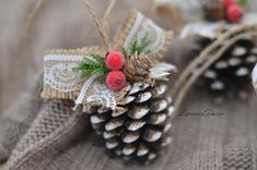 two pine cones decorated with berries and burlocks are sitting next to each other