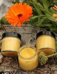 Calendula salve, a traditional healing ointment, great for take along first aid. Diy Lotions, Calendula Salve, Salve Recipes, Herbal Salves, Healing Salves, Healing Balm, Infused Oils, Homemade Remedies