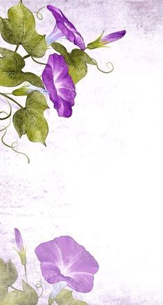 purple flowers and green leaves on a white background