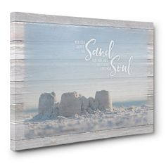 a wooden sign that says sand and soul on the beach with snow in the background