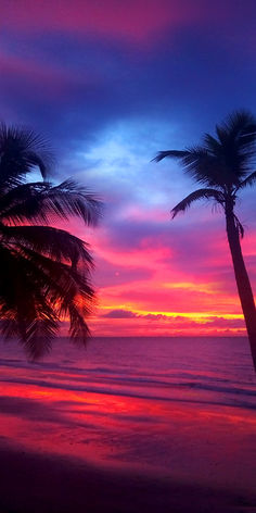 two palm trees are silhouetted against a colorful sunset on the beach in front of the ocean