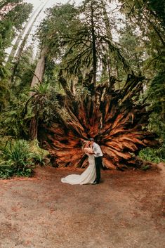 a bride and groom standing in front of a giant tree