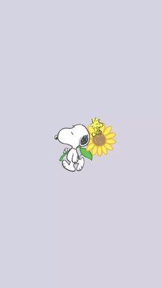 snoopy holding a sunflower in his hand