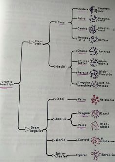 an open book with some diagrams on the page and words written in red, black and white