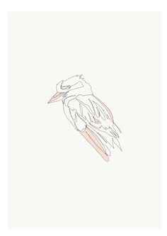 a drawing of a bird on a white background