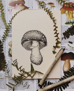 a drawing of a mushroom on top of a piece of paper next to some plants