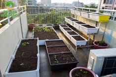 several containers filled with dirt and plants on top of a roof garden area in the city