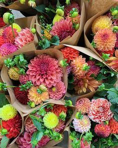 many different colored flowers in brown paper bags