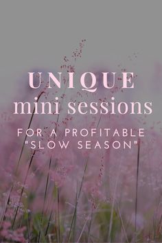 pink flowers and grass with the words unique mini session for a proftableable slow season